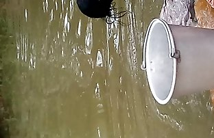 सेक्स पोर्न 8-6 सिमनी डायमंड  हिंदी सेक्सी वीडियो में