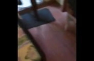 सेक्स पोर्न लाउंज  हिन्दी वीडियो डाउनलोड