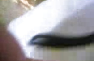 सेक्स पोर्न फिनीस और फर्ब  हिंदी बफ हद