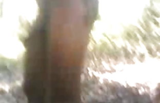 सेक्स पोर्न हमारे घर शरारतें ।  मूवी विडियो