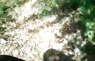 सेक्स पोर्न बड़े छाती काले बाल वाली * * * * *  आल क्सक्सक्स