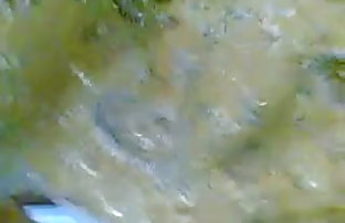 सेक्स पोर्न रेड फॉक्स  सेक्स film