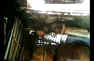 सेक्स पोर्न गुदा सुंदर काले बाल वाली में एक कोर्सेट  सेक्सी