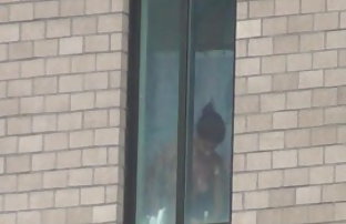 सेक्स पोर्न शातिर-सोने का भाड़ में जाओ  जानवरों की सेक्सी वीडियो