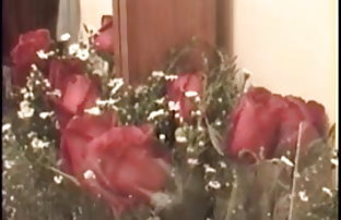 सेक्स पोर्न रॉयल गांड  सेकस विडिये