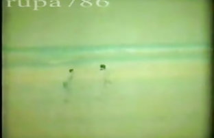 सेक्स पोर्न नोट मीटिंग 1  सेक्स के बारे मेँ