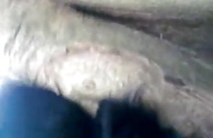 सेक्स पोर्न गृहिणियां (२०१४)  वीडियो चाहिए