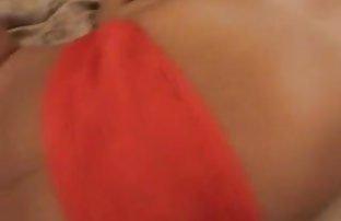 सेक्स पोर्न [उप]  सेक्सी मूवी सेक्सी मूवी सेक्सी मूवी