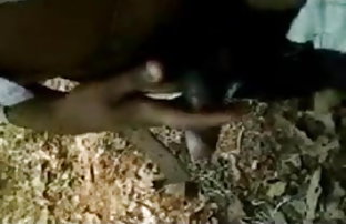 सेक्स पोर्न ब्रेट (ताजा हवा खेलने का समय) (२०१३)  लड़की के फोटो