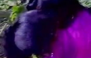 सेक्स पोर्न पट्टी खेलों खोया दांव  xx ब्लू पिक्चर