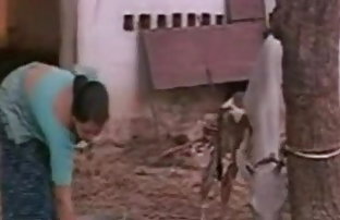 सेक्स पोर्न रूसी बछिया और दो चोर  राजस्थानी सेक्सी वीडियो हिंदी