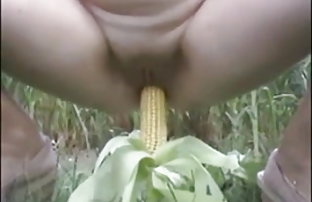 सेक्स पोर्न विदेशी देता है कामुक चूसना नौकरी मुश्किल उठा हुआ आदमी  indian xxx sexi video