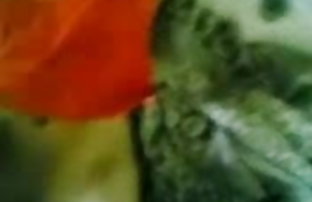 सेक्स पोर्न एम्बर आड़ू  सेक्सी वीडियो इंग्लिश फिल्म