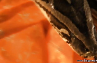 सेक्स पोर्न जॉर्जियाई लड़की  bf हिंदी सेक्सी